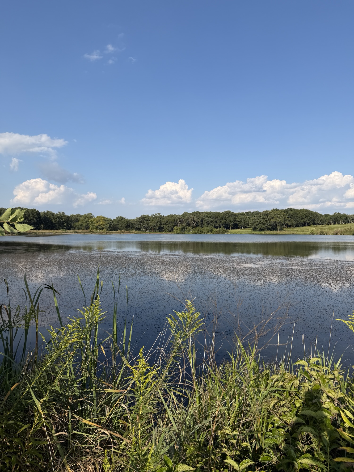 Day 4 – Friday – Willow Springs (near Chicago)